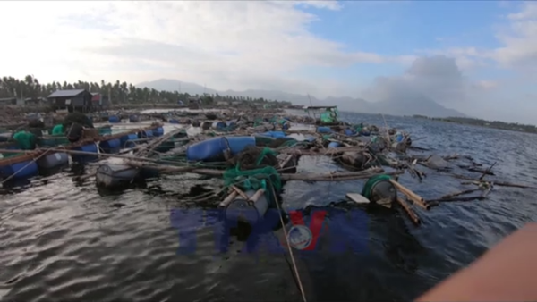 Người nuôi trồng hải sản đang gượng dậy sau bão
