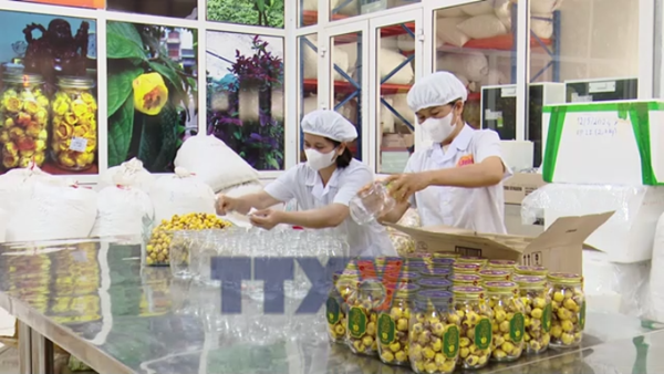 Ninh Bình: Nông nghiệp sinh thái, hữu cơ gắn với du lịch