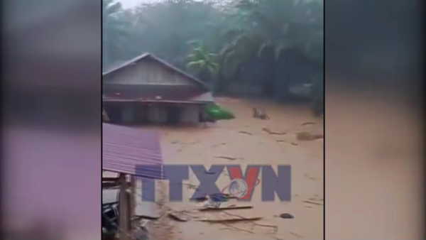 Bảo hiểm châu Á đối mặt với thách thức sống còn do lũ