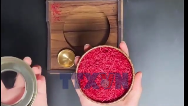 Nông thôn Maroc phất lên nhờ “vàng đỏ”