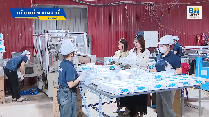 Tiêu điểm kinh tế tháng 12: Doanh nghiệp Việt vượt sóng 2025, tìm đà tăng trưởng mới