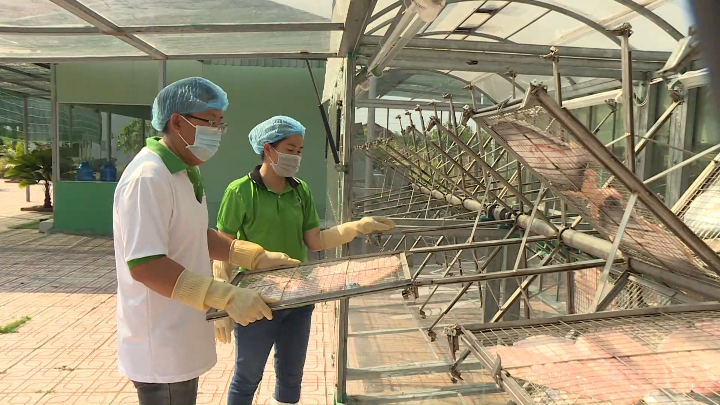 Nông nghiệp TP. Hồ Chí Minh tái cấu trúc để phát triển bền vững 