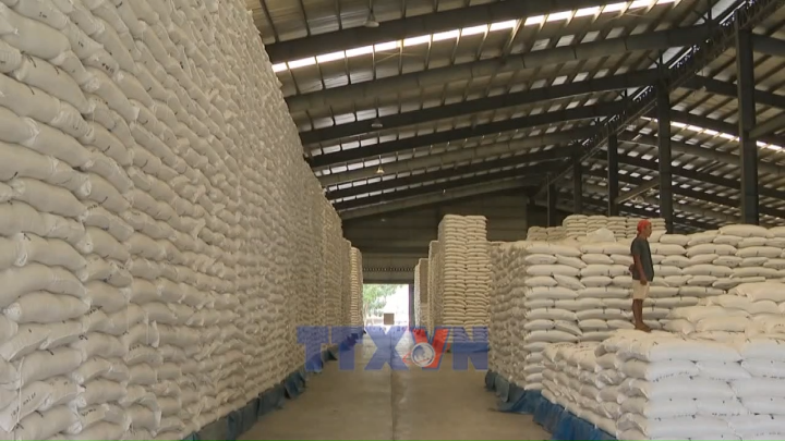 Philippines chính thức quay trở lại thị trường gạo quốc tế