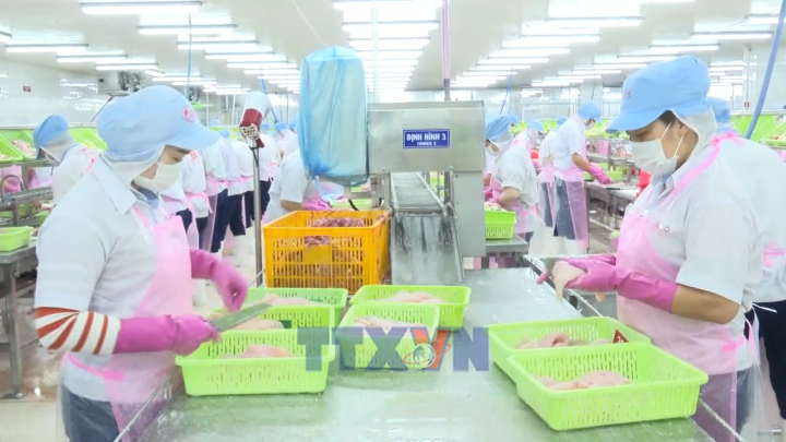 Hoạt động xuất khẩu của Đồng Tháp khởi sắc ngay từ đầu năm