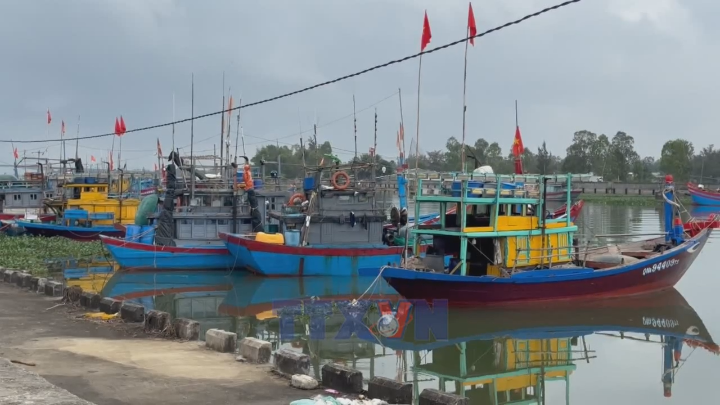 Cảng cá ở Đà Nẵng đưa vào khai thác nhưng “bỏ ngỏ” đơn vị quản lý