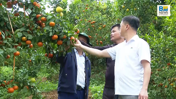 Tiêu điểm kinh tế tuần: Sản xuất nông nghiệp xanh