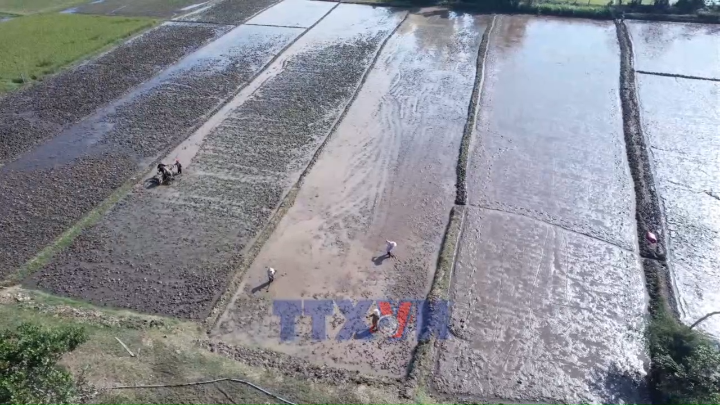 Mùa xuân mới trên vùng đất thiên tai đã đi qua