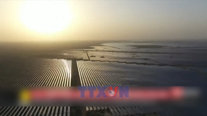 Mỹ áp thuế lên tới 126% đối với pin Mặt Trời của Ấn Độ