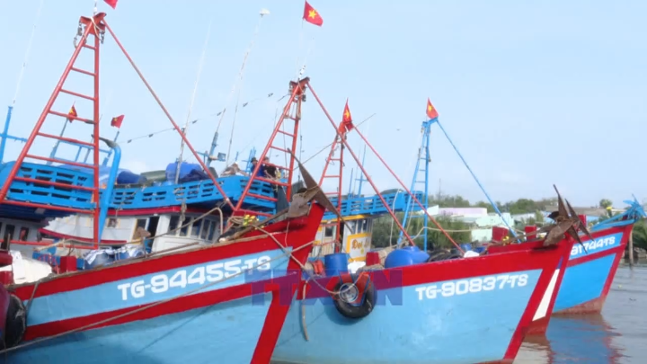 Sau Tết, ngư dân Đồng Tháp tất bật ra khơi