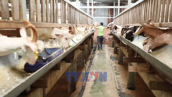 Gỡ “điểm nghẽn” vốn thúc đẩy Hợp tác xã phát triển