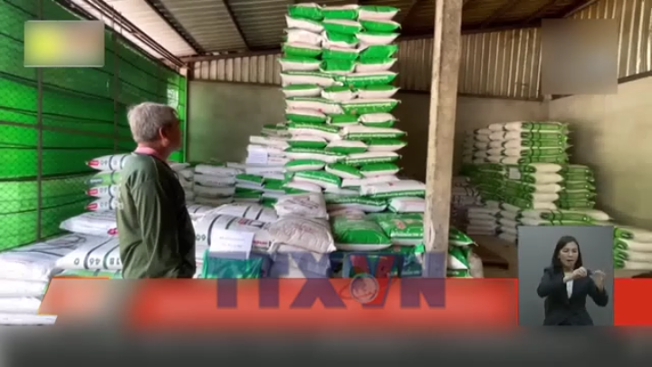 Thái Lan tìm cách bù đắp thiếu hụt nguồn cung phân bón
