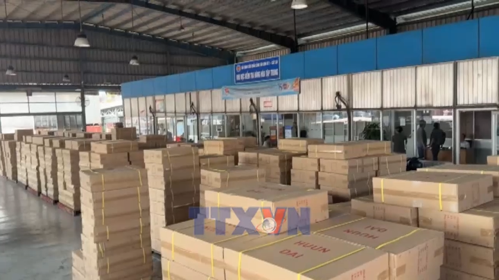 Hải quan phát hiện gần 20.000 sản phẩm vi phạm tại cảng Cát Lái