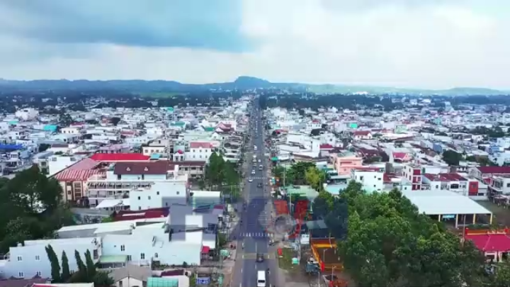 Doanh nghiệp ngành điều chật vật trước áp lực giá nguyên liệu tăng
