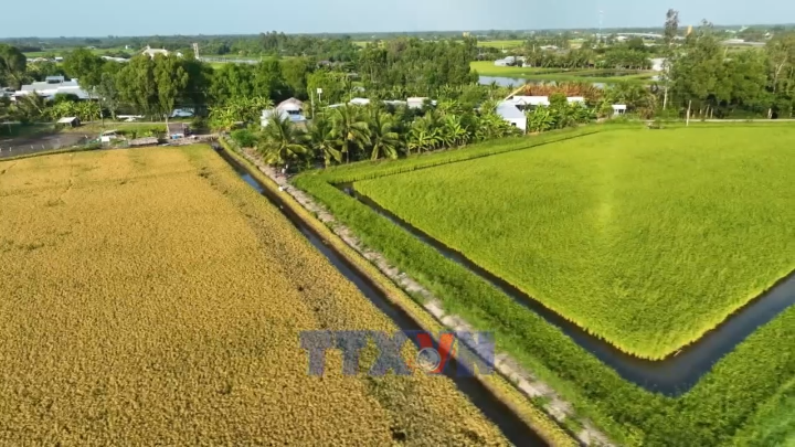Net Zero -Ngành Nông nghiệp tái cấu trúc ngành hàng theo hướng xanh