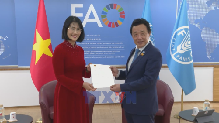 FAO luôn coi trọng Việt Nam là đối tác quan trọng trong khu vực
