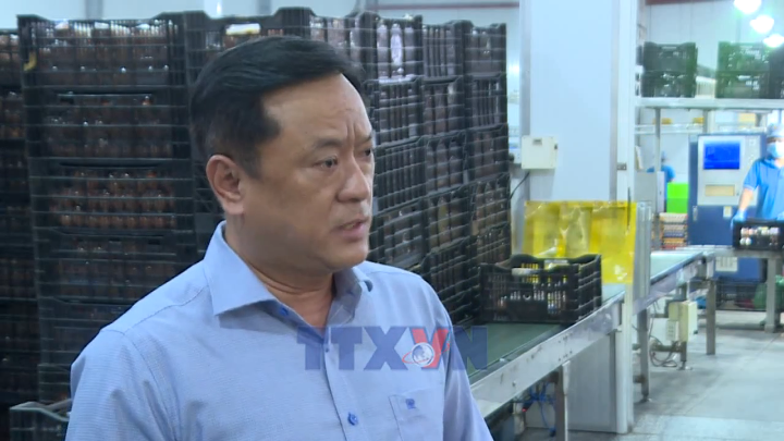 Khơi thông dòng vốn hỗ trợ doanh nghiệp phục hồi sản xuất