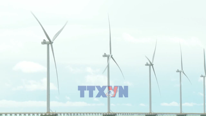 Net zero - Doanh nghiệp Việt trong làn sóng đầu tư năng lượng tái tạo