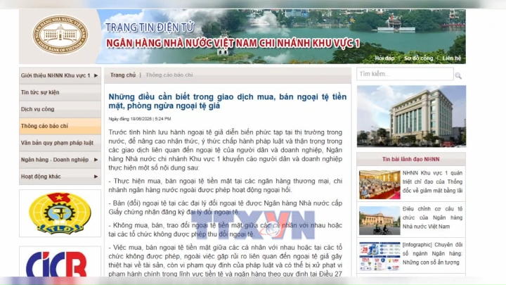 Ngân hàng Nhà nước cảnh báo rủi ro ngoại tệ giả