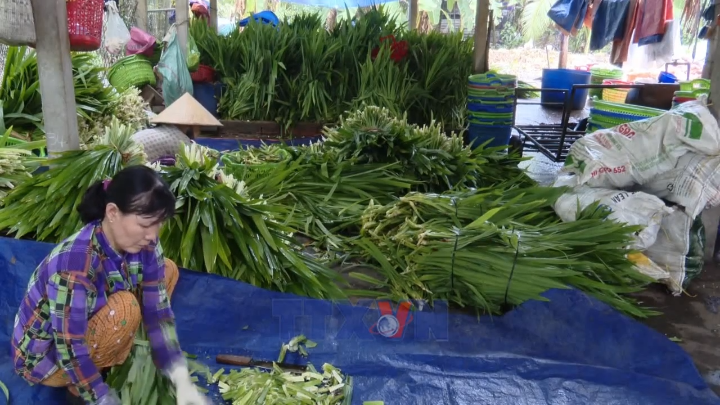Phát huy hiệu quả của chính sách tín dụng trong giảm nghèo