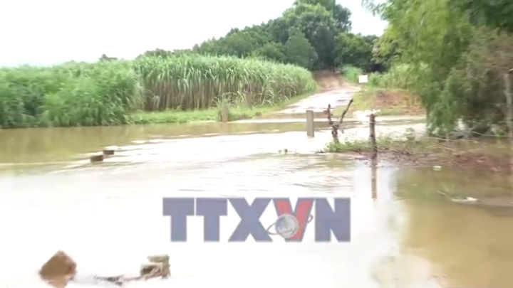 Thanh Hóa khẩn trương ứng phó với mưa lũ