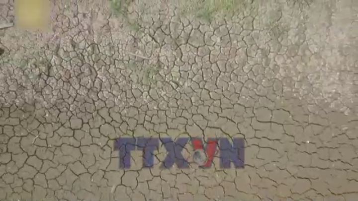 Thái Lan tăng dự trữ gạo ứng phó El Nino