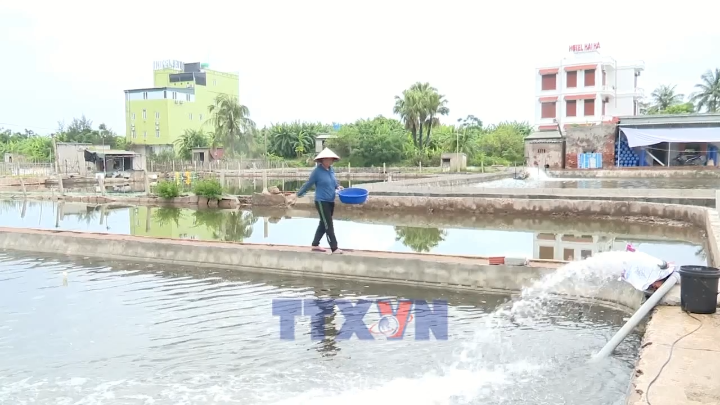 Nguồn vốn mở đường cho những sinh kế mới