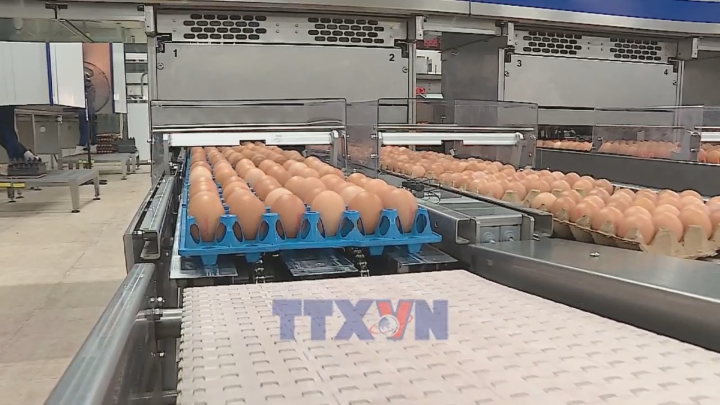 Xuất khẩu nông sản chạy nước rút về đích