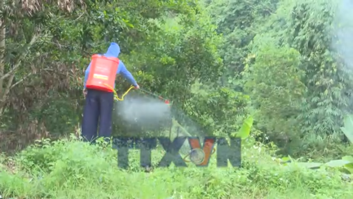 Du Già tiếp thu phản ánh của TTXVN, khẩn trương khắc phục ô nhiễm bãi rác Cốc Pảng