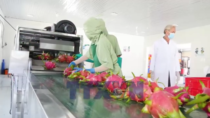 Tăng sức hút cho hàng Việt trên thị trường quốc tế